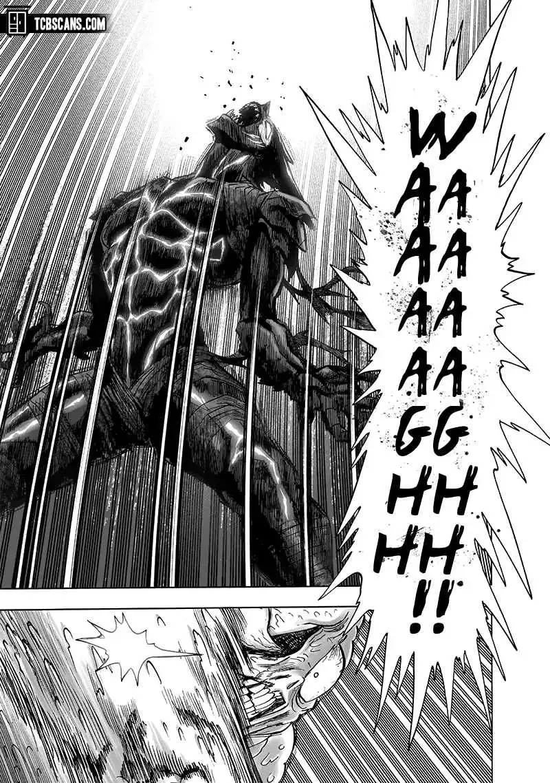 One-Punch Man Chapter 154 18